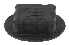 Кришка розширювального бачка 7401674083 Renault (RVI)