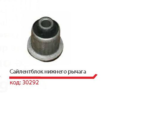 6040096299 Renault (RVI) Сайлентблок переднього нижнього важеля