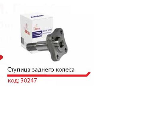 Цапфа - поворотний кулак задній 30247 Asam