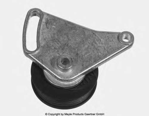 Купити CX8325 CX/Complex Натягувач приводного ременя