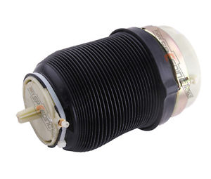 Пневморессора задня VAG 4F0616001J ціна, від 158.99 USD