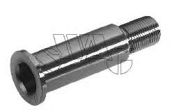 Кронштейн натягувача приводного ременя 10030024 Swag