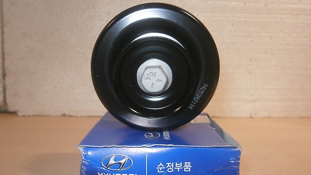 Купити 252872F000 Hyundai/Kia Ролик паразитний ГРМ