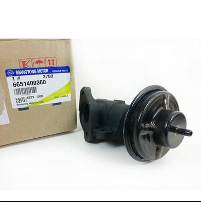 Клапан EGR Ssang Yong 6651400360 ціна, від 15.52 USD