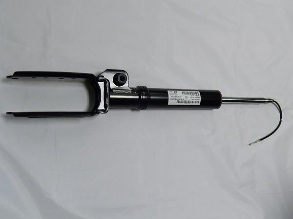 RS315998 Raiso Амортизатор передньої підвіски