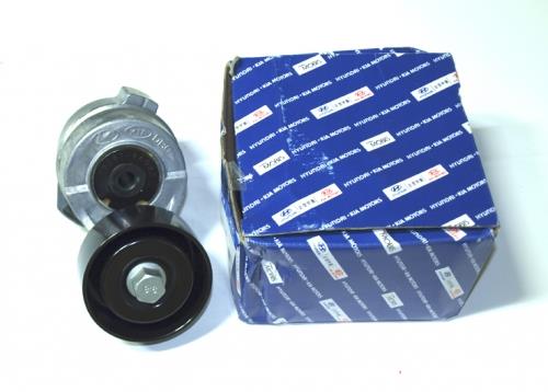 252843A000 Hyundai/Kia Ролик приводного ременя, паразитний