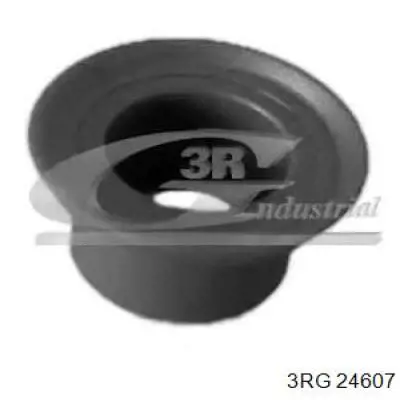 Втулка механізму перемикання передач 3RG 24607 ціна, від 1.39 USD