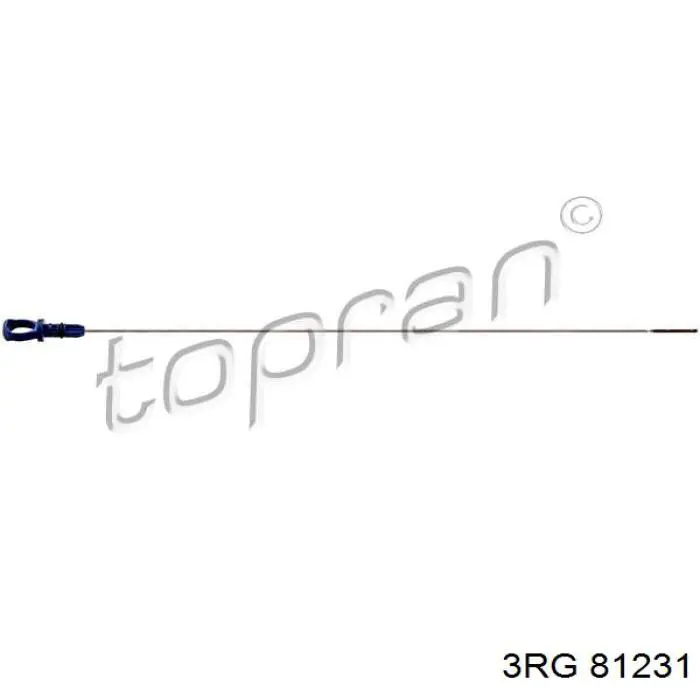 Щуп-індикатор рівня масла в двигуні 3RG 81231 ціна, від 3.82 USD