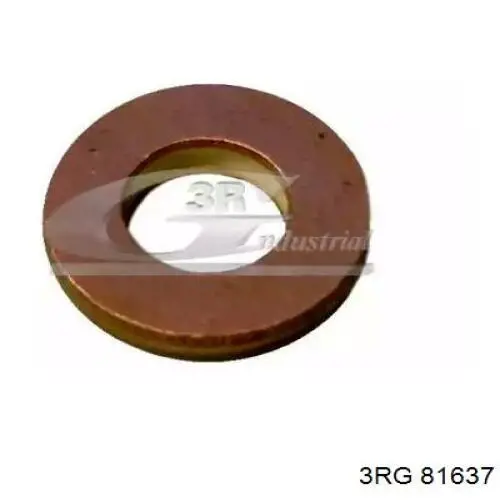 Купити 81637 3RG Кільце форсунки