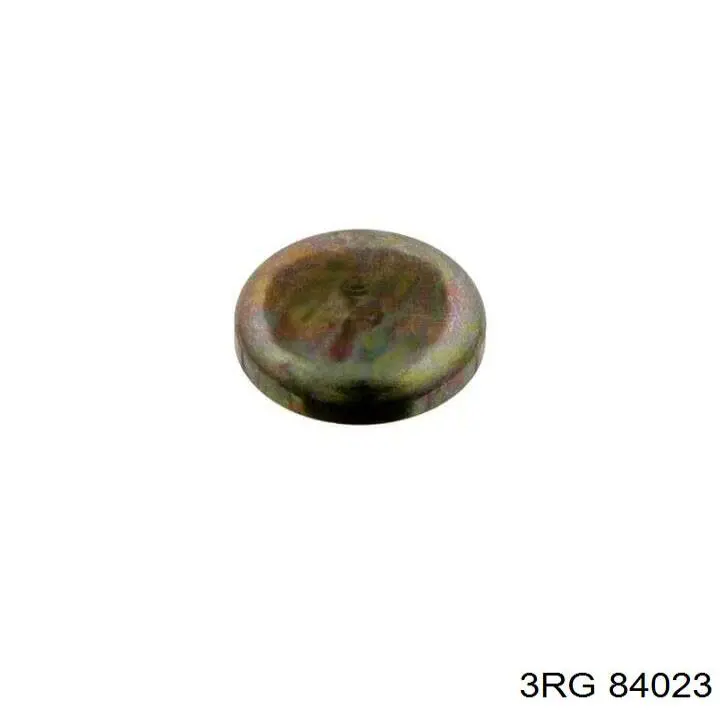 Купити 84023 3RG Заглушка блоку циліндрів