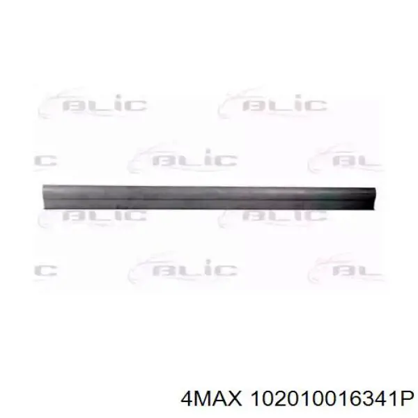102010016341P 4max 