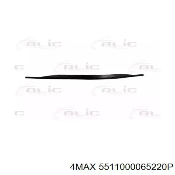 Купити 5511000065220P 4max Нижня накладка на передній бампер