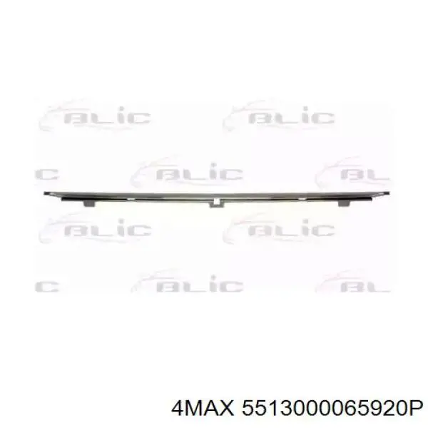 Купити 5513000065920P 4max Молдинг переднього бампера, центральний