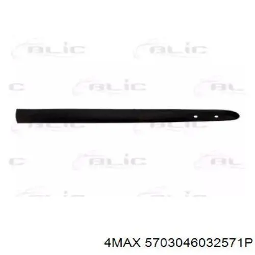 Купити 5703046032571P 4max Молдинг передньої лівої двері