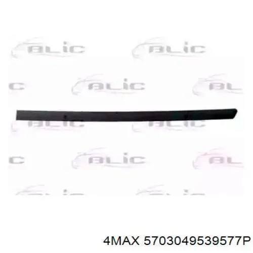 Молдинг задніх лівих дверей VAG 3B0853753AGRU ціна, від 19.06 USD