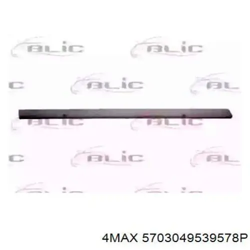 Молдинг задніх правих дверей VAG 3B0853754AGRU ціна, від 19.10 USD