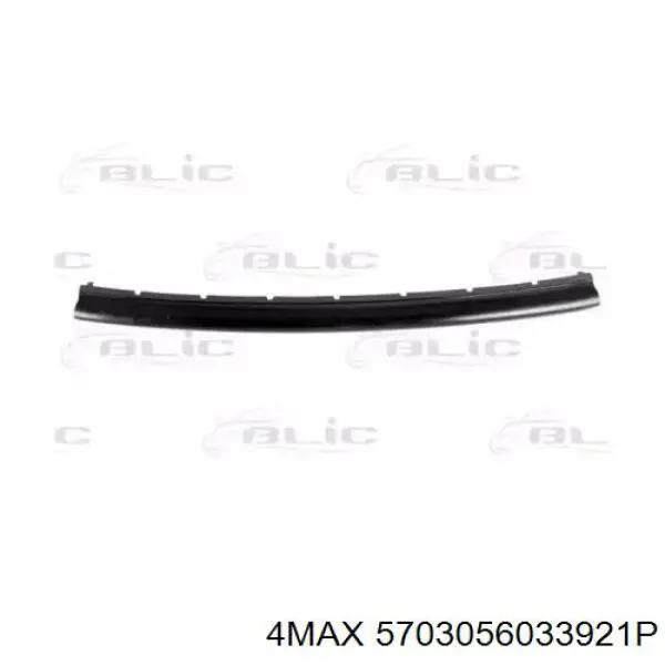 620843348R Renault (RVI) Молдинг решітки переднього бампера, нижній