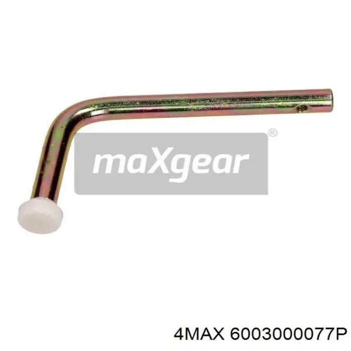 6003000077P 4max 