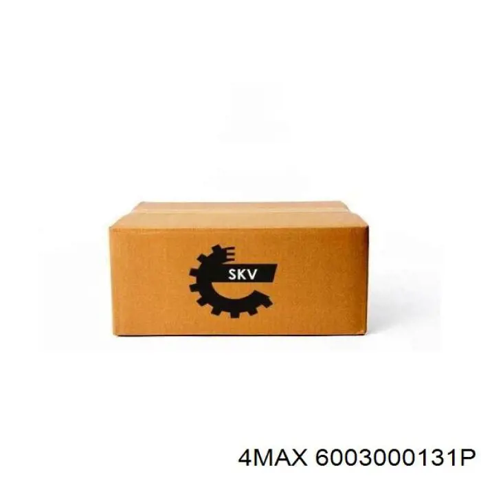  6003000131P 4max