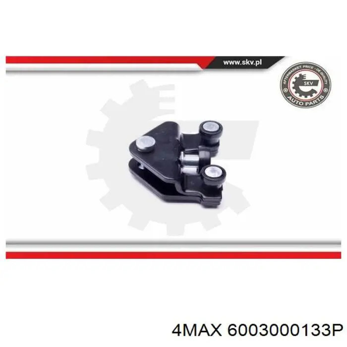 6003000133P 4max 