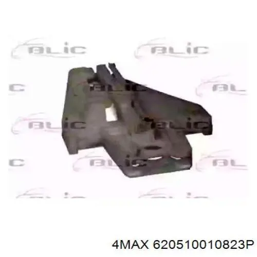 620510010823P 4max 
