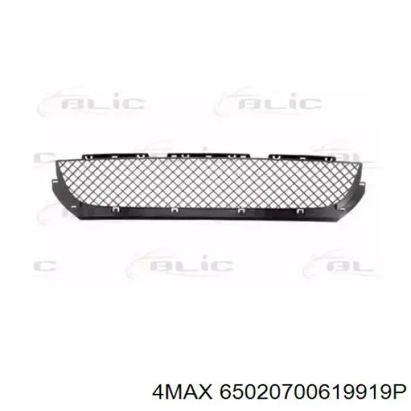 Решітка переднього бампера, центральна BMW 51112694724 ціна, від 177.17 USD