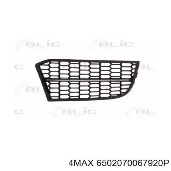 Купити 51118055134 BMW Решітка переднього бампера, права