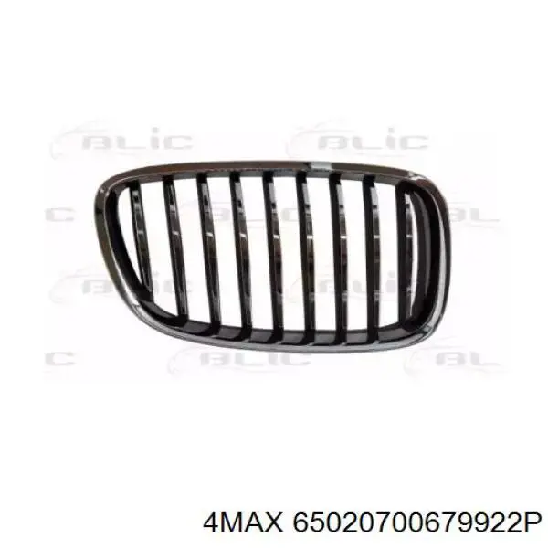 Купити 51137200168 BMW Решітка радіатора права