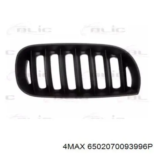 Купити 51133402910 BMW Решітка радіатора права