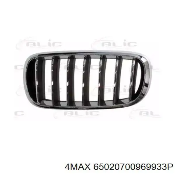 Решітка радіатора ліва Rhino BXF485958AL ціна, від 32.87 USD