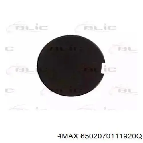 Купити 0735346829 Fiat/Alfa/Lancia Заглушки буксирувального гака