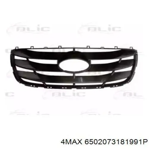 Купити 6502073181991P 4max Захисна решітка радіатора