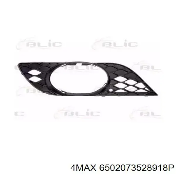 Обід (окантовка) фари противотуманної, правої Polcar 5017303 ціна, від 5.42 USD