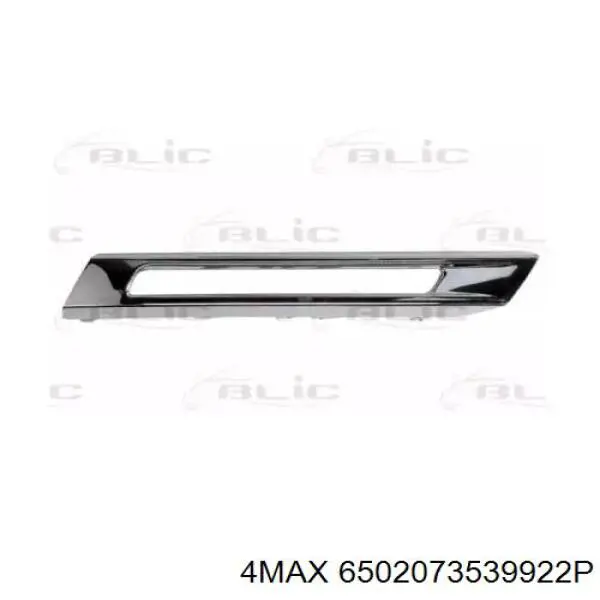 Купити BF0216410008 Bapmic Обід (окантовка) фари противотуманної, правої