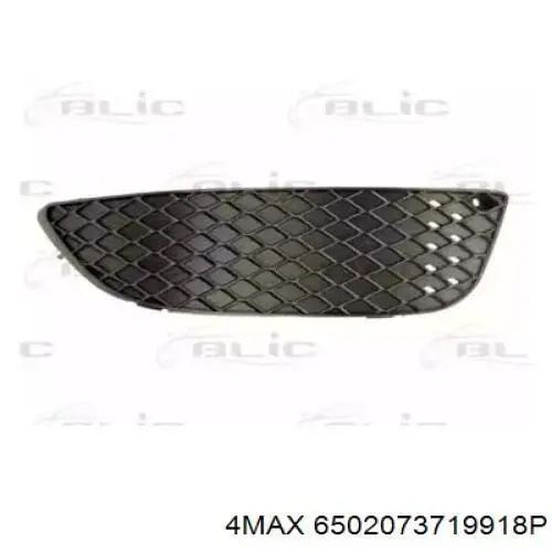 Заглушка протитуманки передньої правої FPS FP4811912 ціна, від 6.46 USD