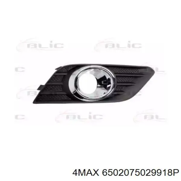 6502075029918P 4max 