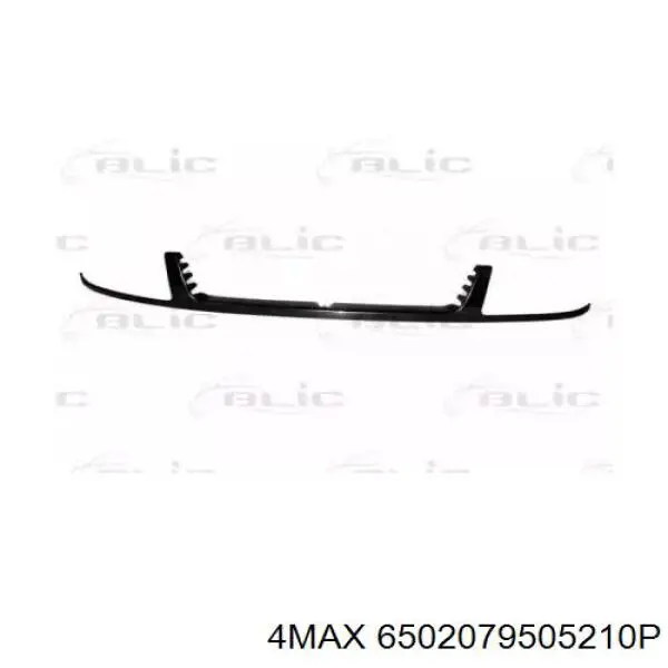 Купити 6502079505210P 4max Накладка фар, нижня