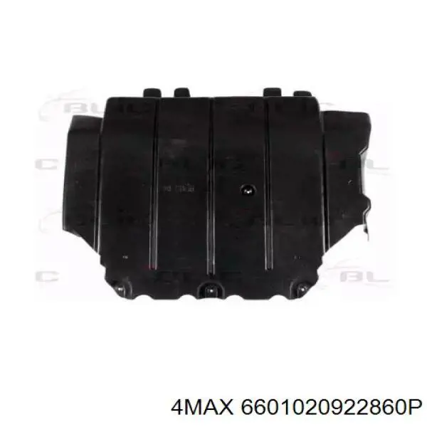 6601020922860P 4max 