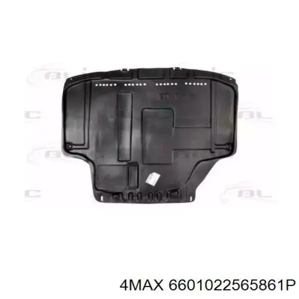 6601022565861P 4max 