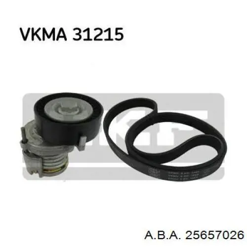 25657026 A.b.a Ролик натяжителя ременя агрегатів
