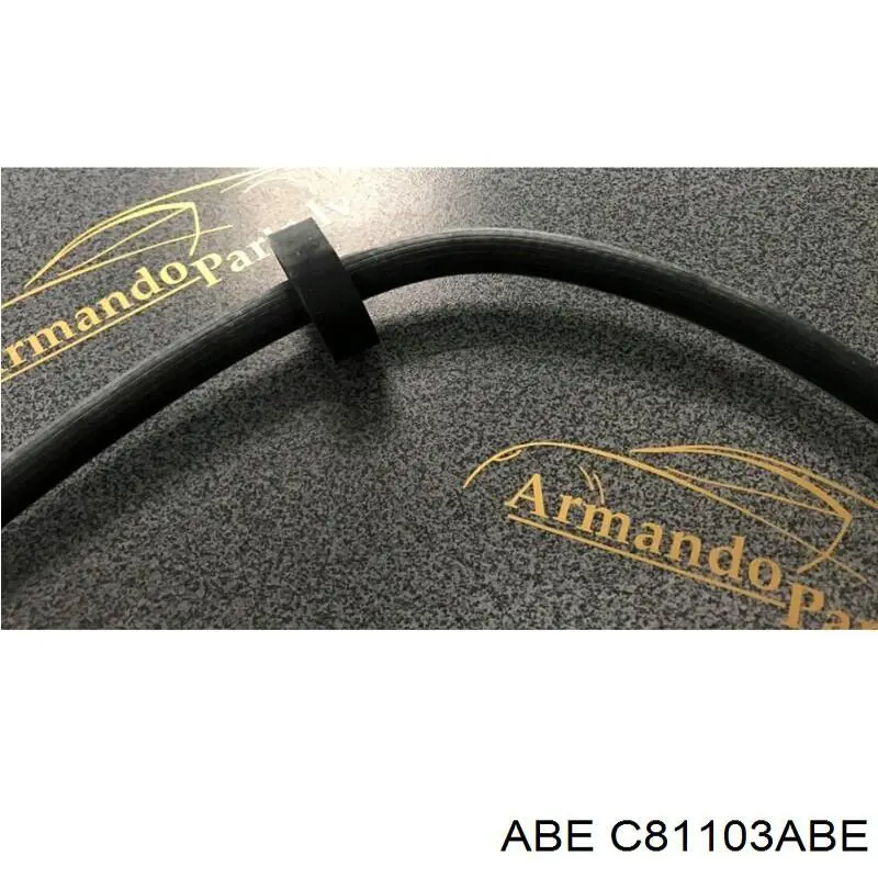 Гальмівні шланги передні C81103ABE ABE