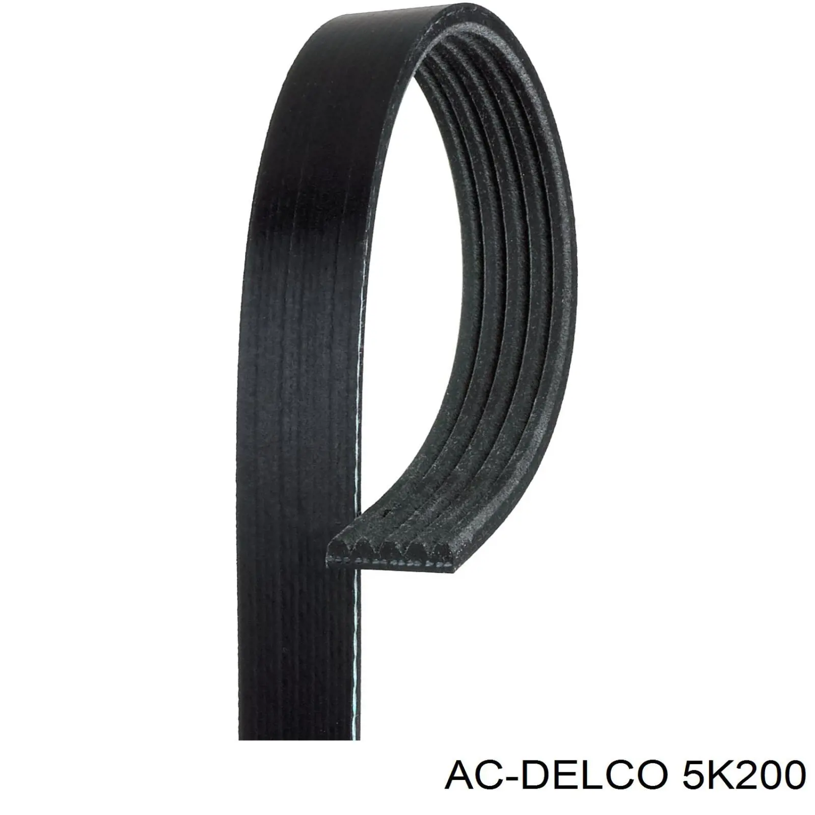 5PK510 Dayco Поліклиновий ремінь