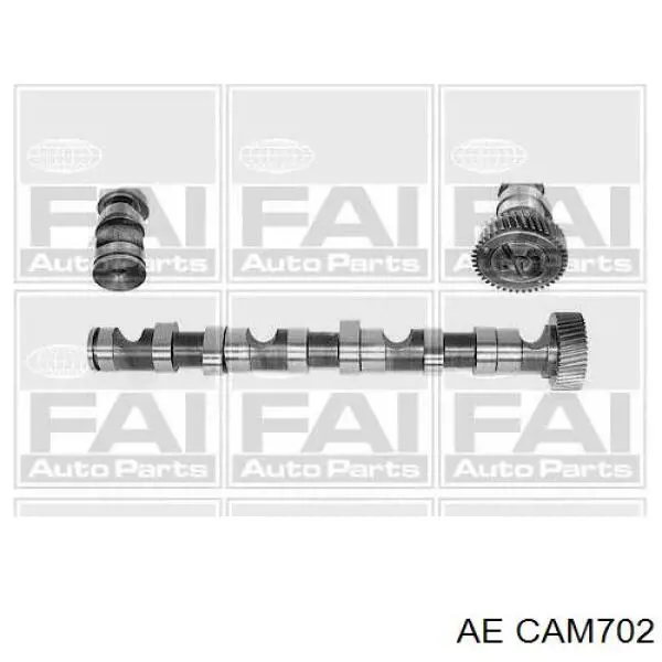 Купити CAM702 AE Розподільний вал двигуна випускний правий