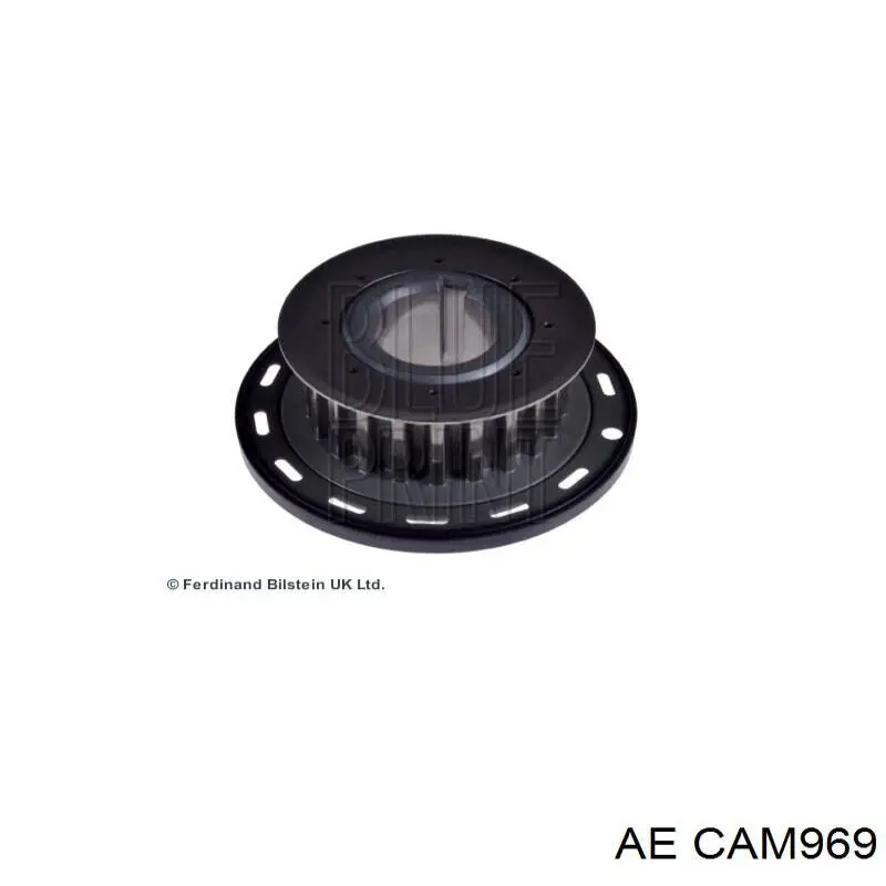 Купити CAM969 AE Розподільчий вал двигуна