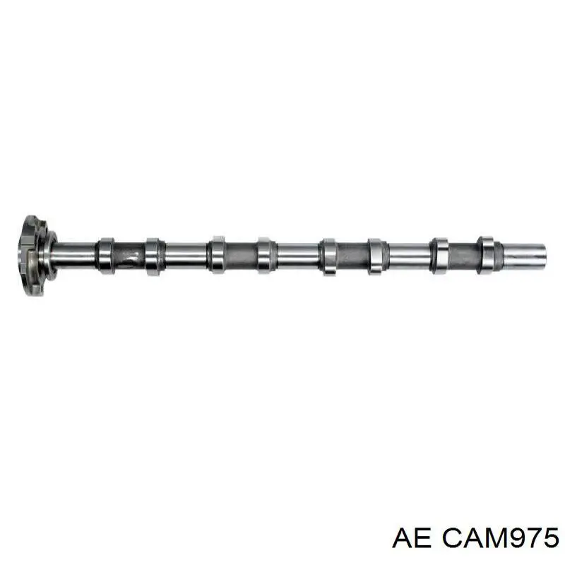 CAM975 AE Шток двигуна, випускний