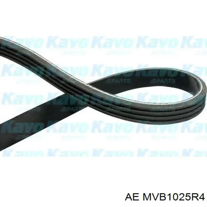 Клиновий ремінь AE MVB1025R4 ціна, від 6.47 USD