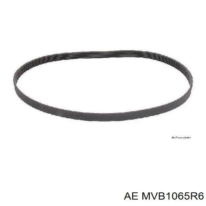 Купити MVB1065R6 AE Ремінь генератора