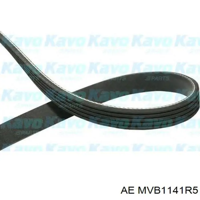 Клиновий ремінь AE MVB1141R5 ціна, від 12.75 USD