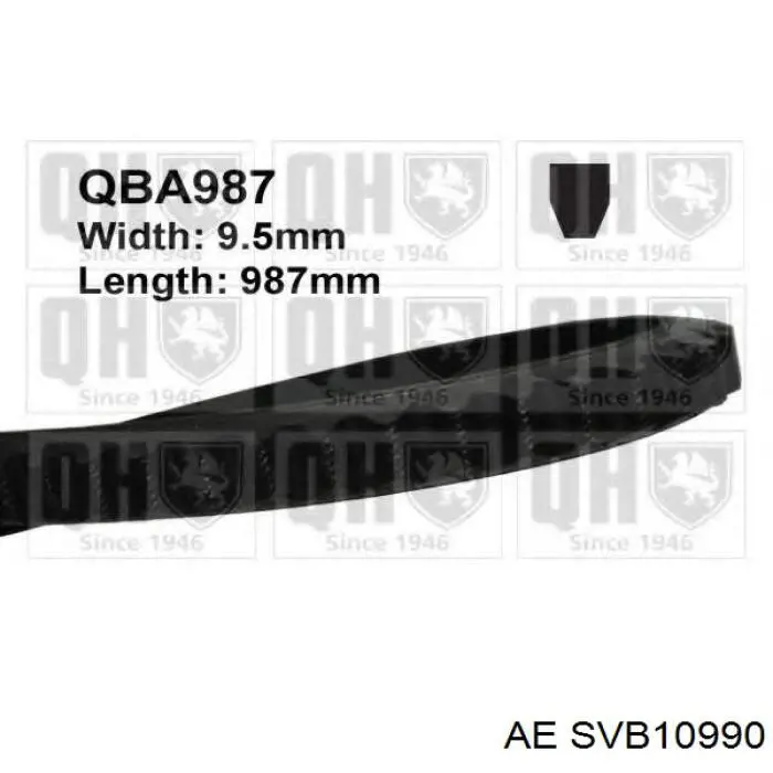 Купити SVB10990 AE Ремінь генератора