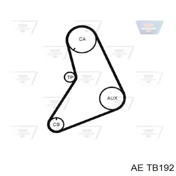 TB192 AE ремінь грм